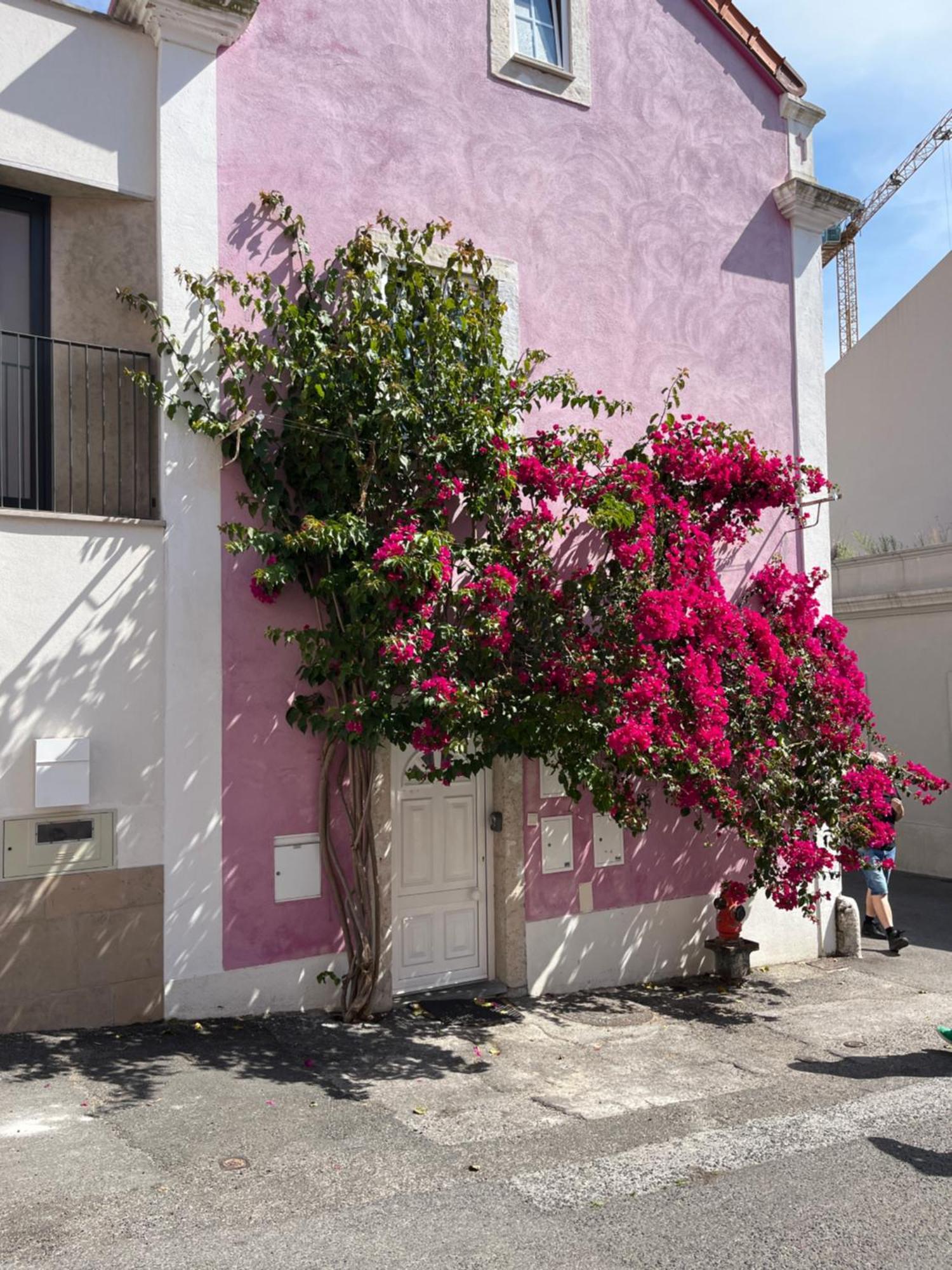 Apartment Casa Cor De Rosa Lisbon